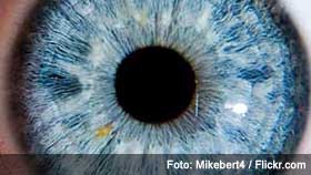 Augen- und Sehforschung
