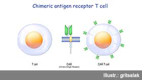 CAR-T-Zellen